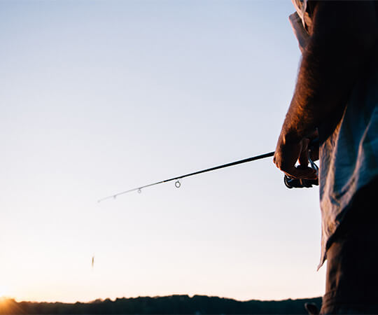 ¡a pescar! cinco maneras de mantener alejados a los insectos al pescar
